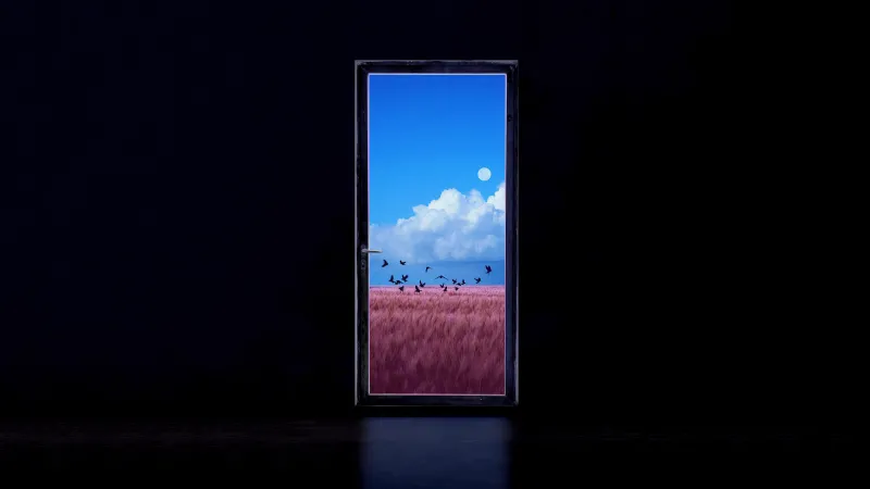 Dreamlike Doorway, Grass field, Flying birds, Surreal landscape, Solitude, Dark background 5K