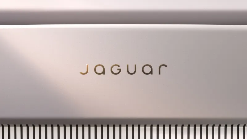 Jaguar Type 00 Minimalist Logo, 8K wallpaper