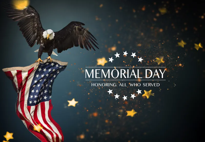 Memorial Day wallpaper, American flag, Bald eagle, Patriotism