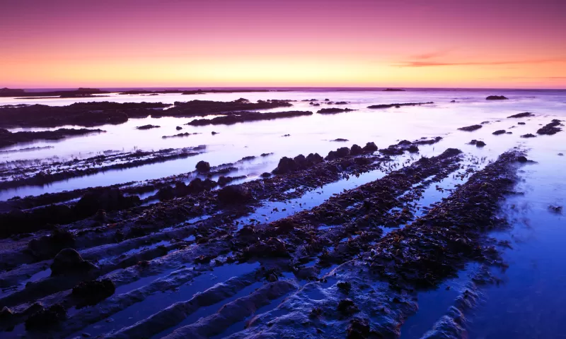 Fitzgerald Marine Reserve, Rocky shore, Purple sunset, 5K wallpaper