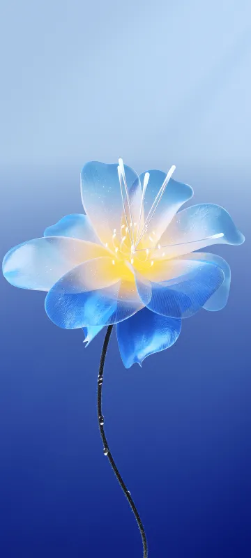Meizu 22 stock wallpaper