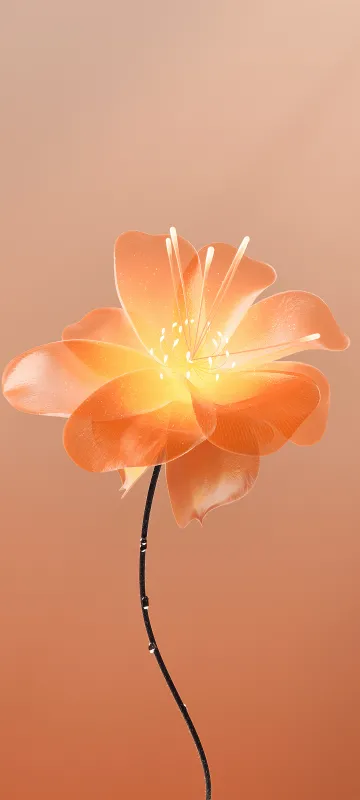 Meizu 22 stock wallpaper