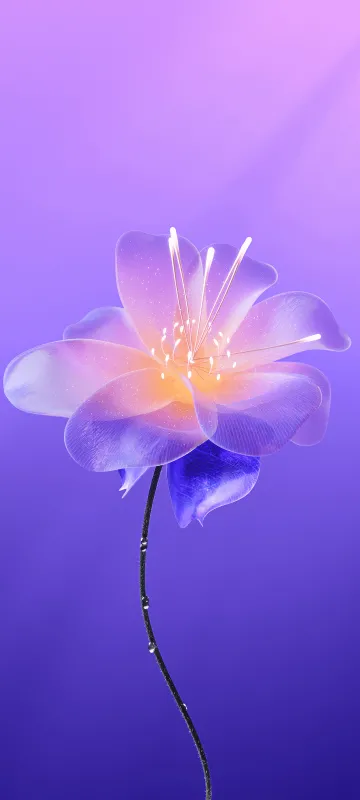 Meizu 22 stock wallpaper