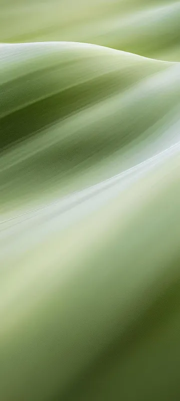 Meizu 22 stock wallpaper
