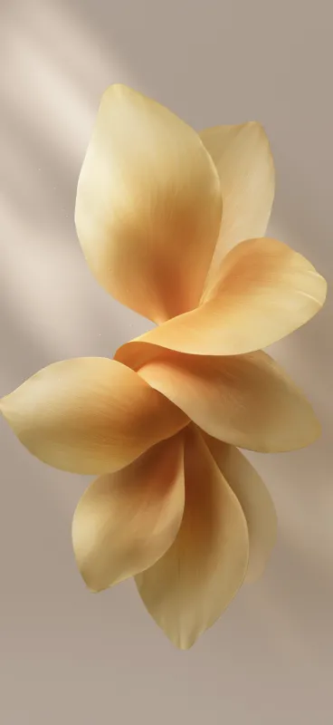 OriginOS 6, Stock wallpaper