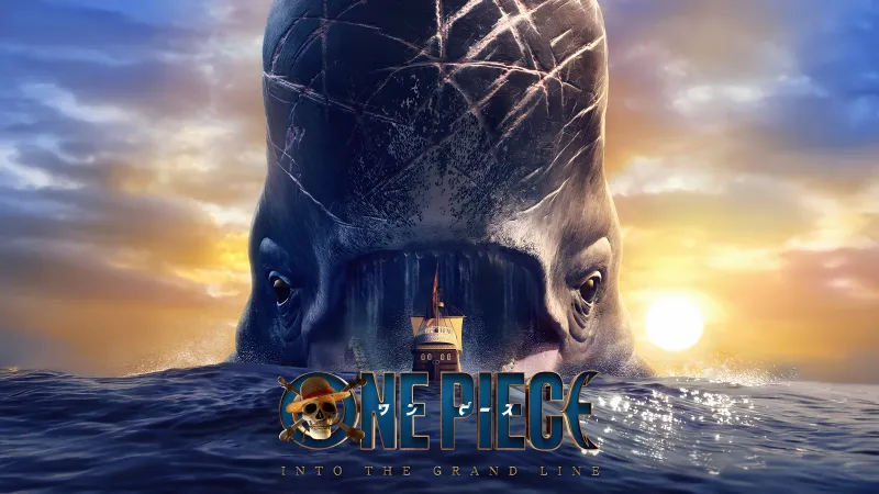 One Piece: Into the Grand Line, Laboon, Season 2, 8K wallpaper