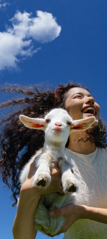 ColorOS 16 stock wallpaper