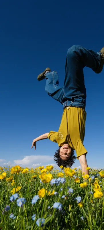 ColorOS 16 stock wallpaper