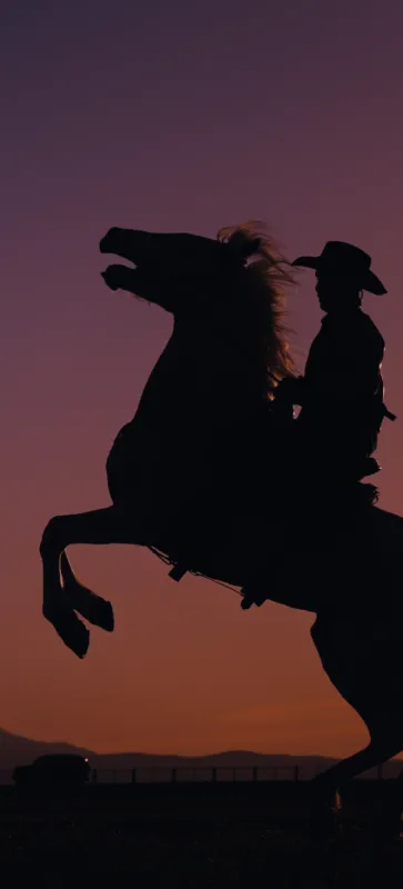 ColorOS 16 stock wallpaper