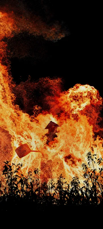 ColorOS 16 stock wallpaper