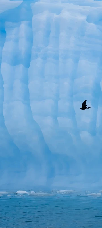 ColorOS 16 stock wallpaper