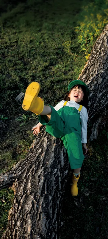 ColorOS 16 stock wallpaper