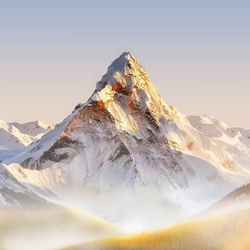 Honor Magic 8 Pro, Stock wallpaper