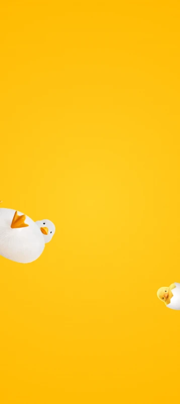 Honor Magic 8 Pro, Stock wallpaper