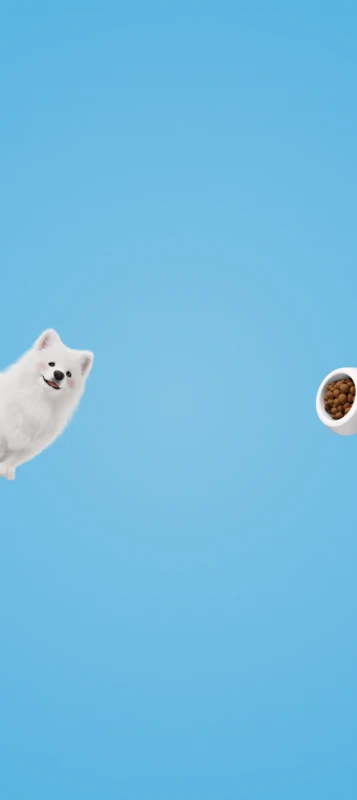 Honor Magic 8 Pro, Stock wallpaper