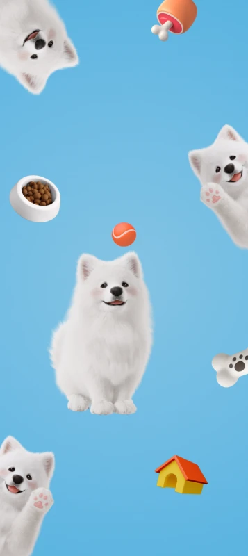 Honor Magic 8 Pro, Stock wallpaper