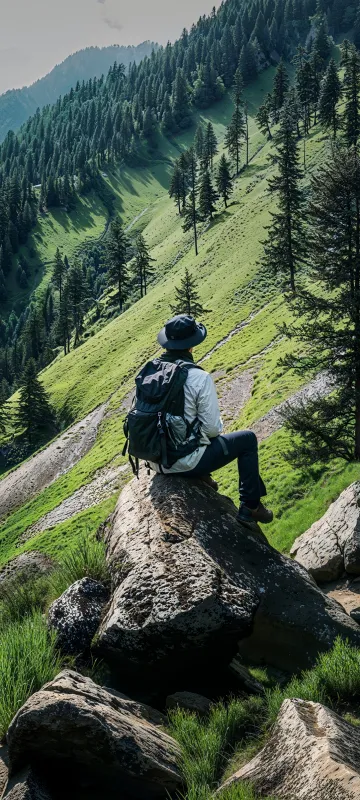 OxygenOS 16, Stock wallpaper