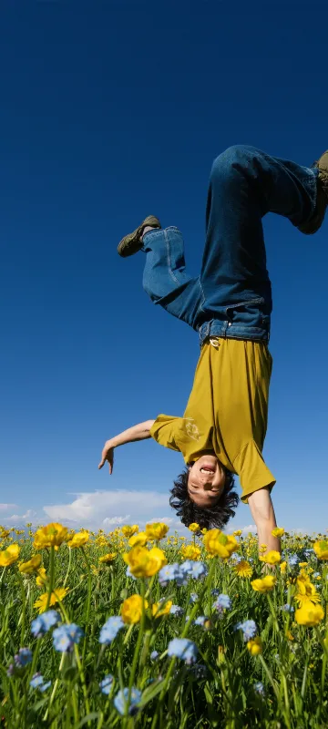 OxygenOS 16, Stock wallpaper