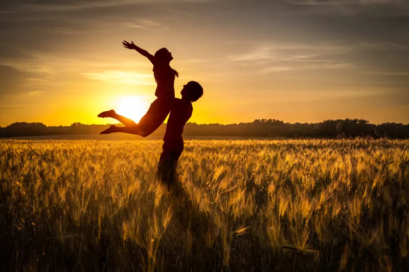 Couple, Silhouette, Sunset, Romantic, Together, Evening, Clear sky, Field, Lifting, 5K