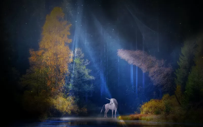 Unicorn, Fairy tale, Mythical, Light beam, Forest, Woods, Tall Trees, Scenery, Water