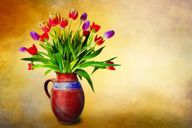 Flower vase, Tulip flowers, Multicolor, Colorful, Green leaves, Bouquet, Decoration