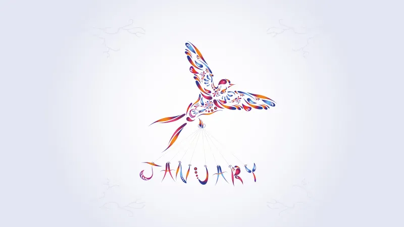 January wallpaper, Decorative bird art, Colorful illustration