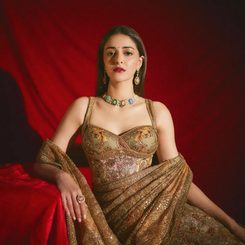 Ananya Panday, Traditional Indian actress, Red background 5K