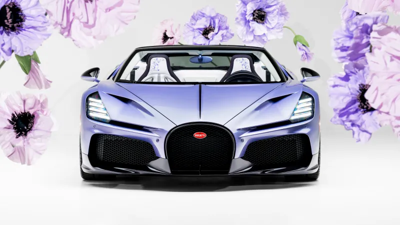 Bugatti W16 Mistral Caroline 2026