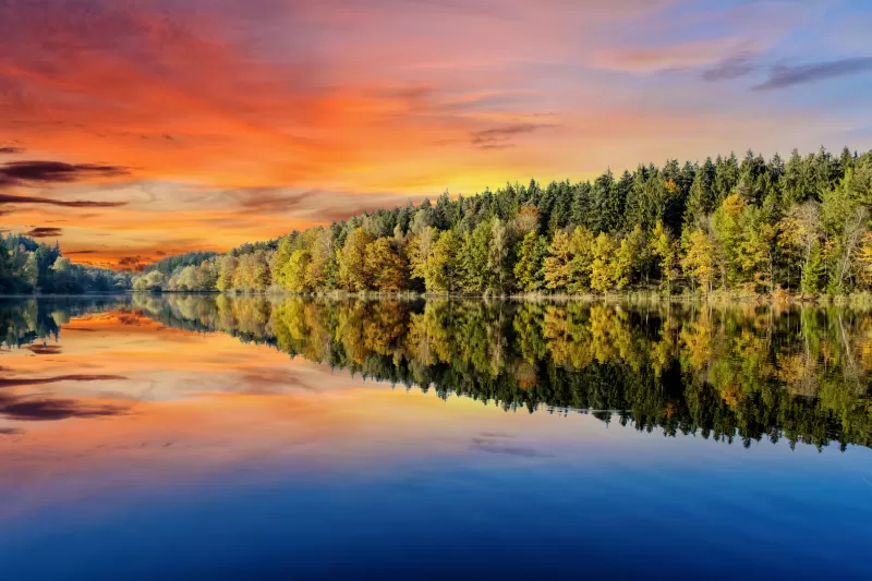 Forest, Trees, Sunset, Orange sky, Mirror Lake, Body of Water, Reflection, Landscape, Scenery, Afterglow, 5K