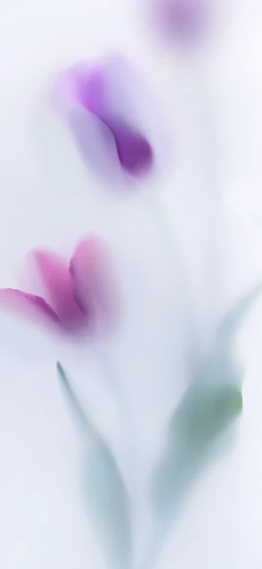 Sony Xperia 10 VIII stock wallpaper