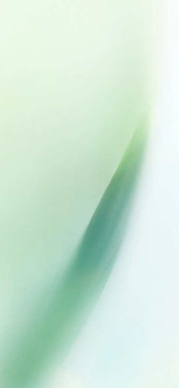 Sony Xperia 10 VIII stock wallpaper