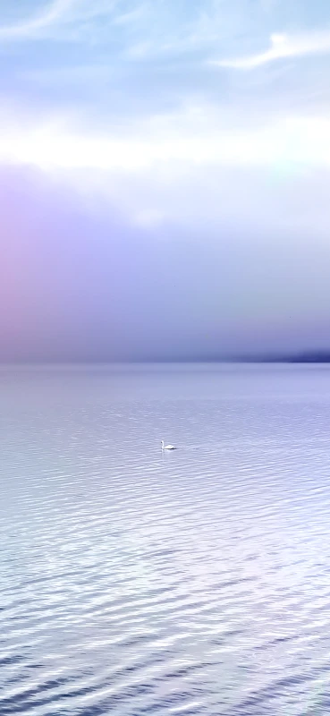 Sony Xperia 10 VIII stock wallpaper
