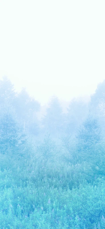 Sony Xperia 10 VIII stock wallpaper