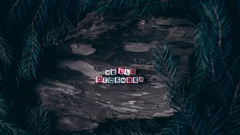 Hello December, Dice, Assorted, Wooden background, Pine branches, Christmas decoration, Letters, 5K wallpaper