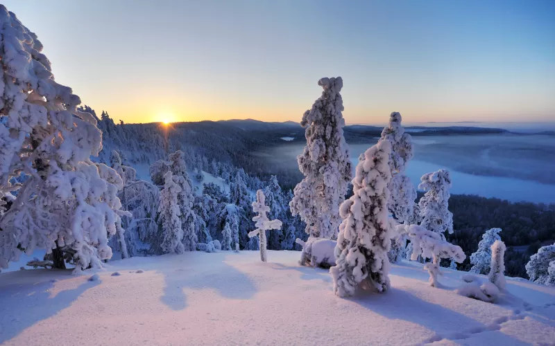Konttainen fell, Finland, Hill, Winter, Snowy Trees, Snow covered, Sunrise, Horizon, Landscape