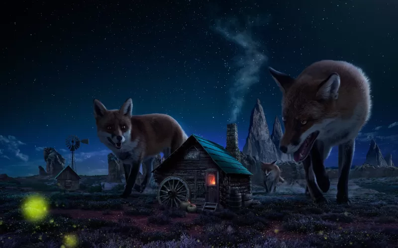 Witch House, Fox, Wild animals, Starry sky, Twilight, Night time, Digital composition, Fairy tale, 5K