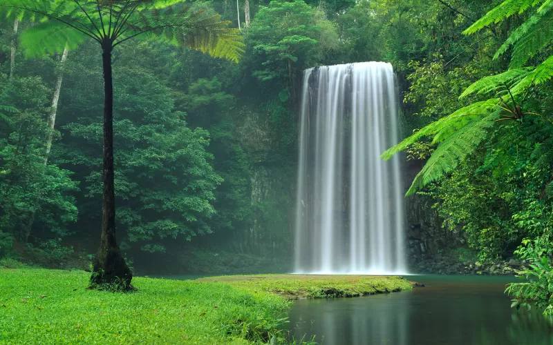 Millaa Millaa Falls, Australia, Waterfalls, Forest, Green Trees, Landscape, Cliff, Long exposure, Water Stream, Beautiful, Scenery