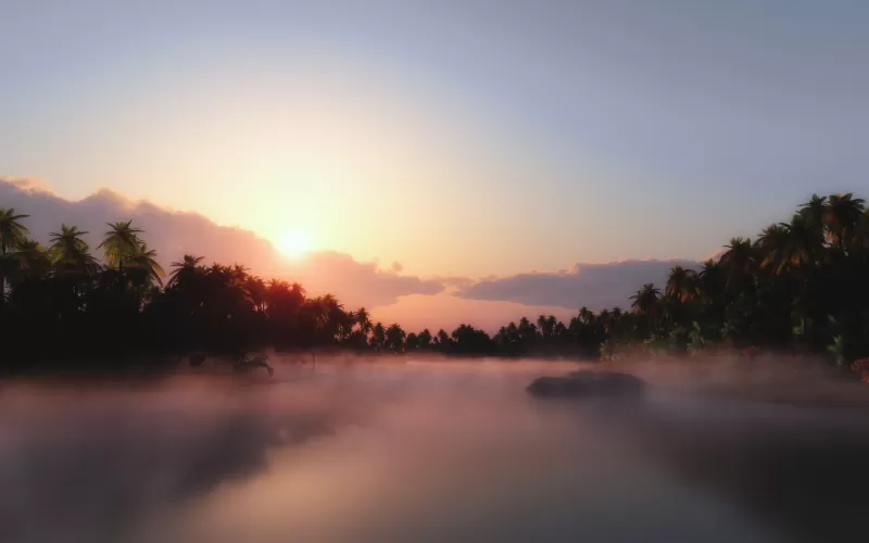 Sunrise, Palm trees, Mist, Foggy, Tropical, Body of Water, Landscape, Clouds, Scenery