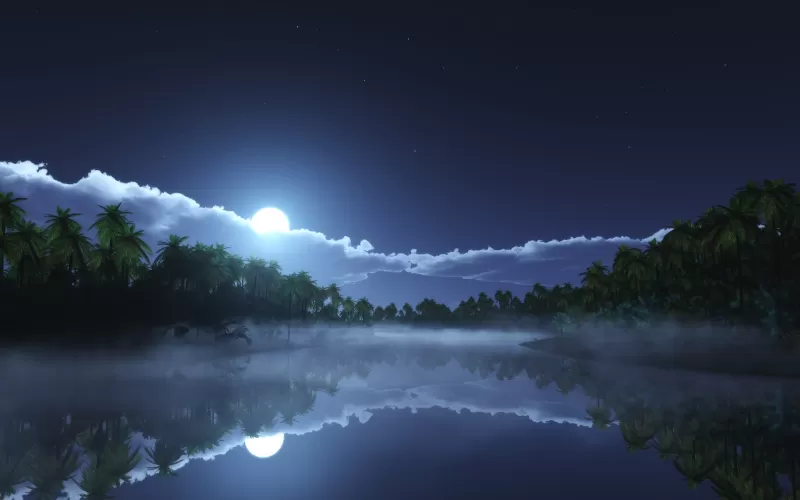 Moonlit tropical lake wallpaper, Palm trees, Misty night
