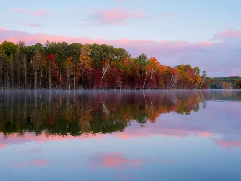 Autumn lake reflection, Misty morning, Pink sky, 4K wallpaper