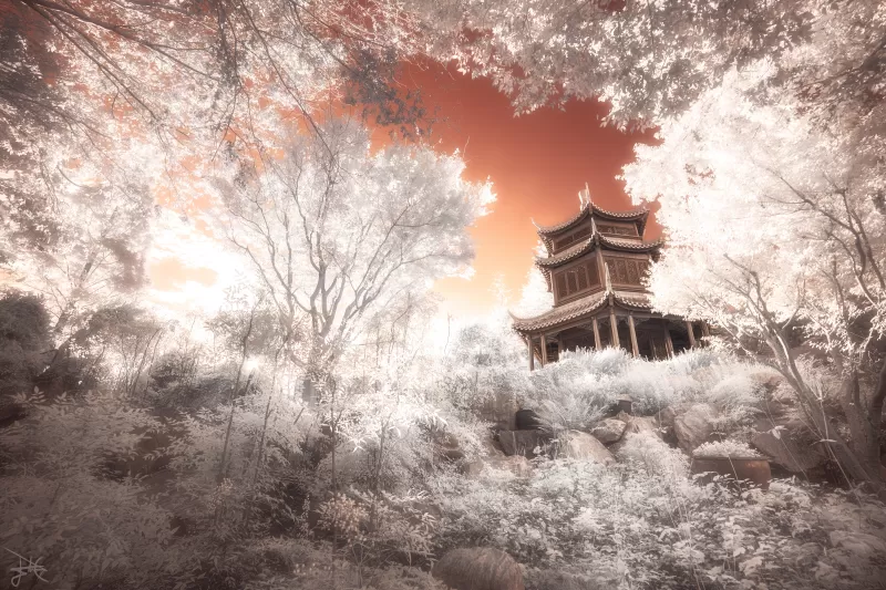 Pagoda Temple, Ancient architecture, Trees, Infrared vision, 5K wallpaper