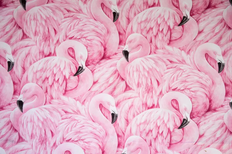 Pink Flamingos, Painting, Feathers, Beautiful, Aesthetic, 5K