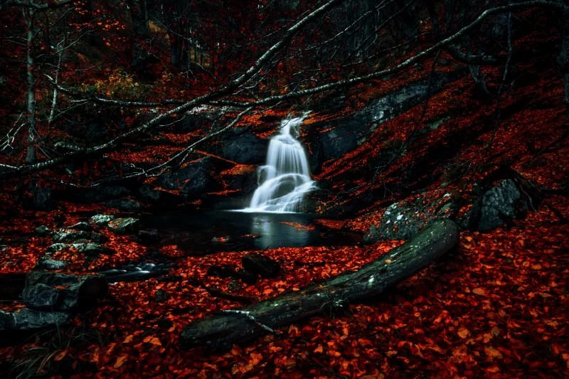 Waterfalls, Autumn, Dark Forest, Foliage, Woods, Red leaves, Fallen Leaves, Water Stream, Scenic, 5K