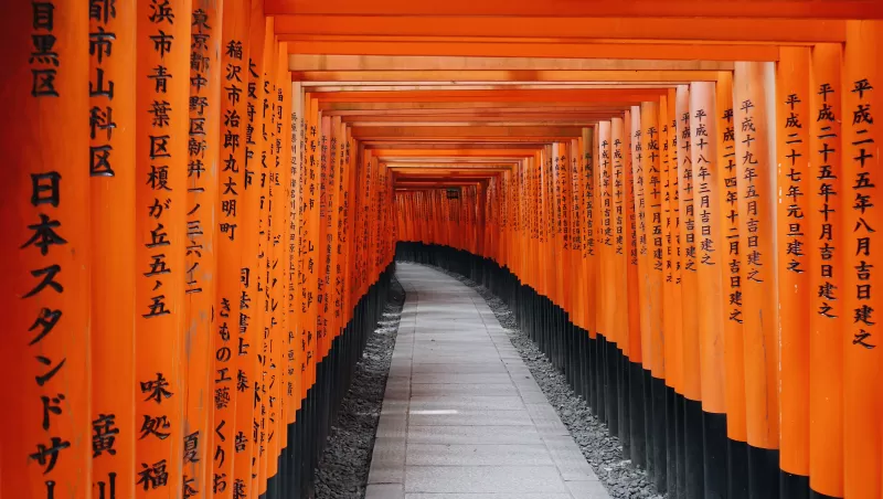 Fushimi Inari Taisha, Shrine, Kyoto, Japan, Orange