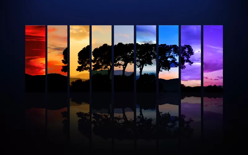 Tree, Sunset, Daylight, Evening, Night, Twilight, Spectrum, Silhouette, Morning, Sunrise, Reflection, Dark