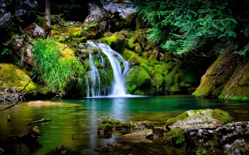 Tropical forest, Waterfall, Green, Landscape, France