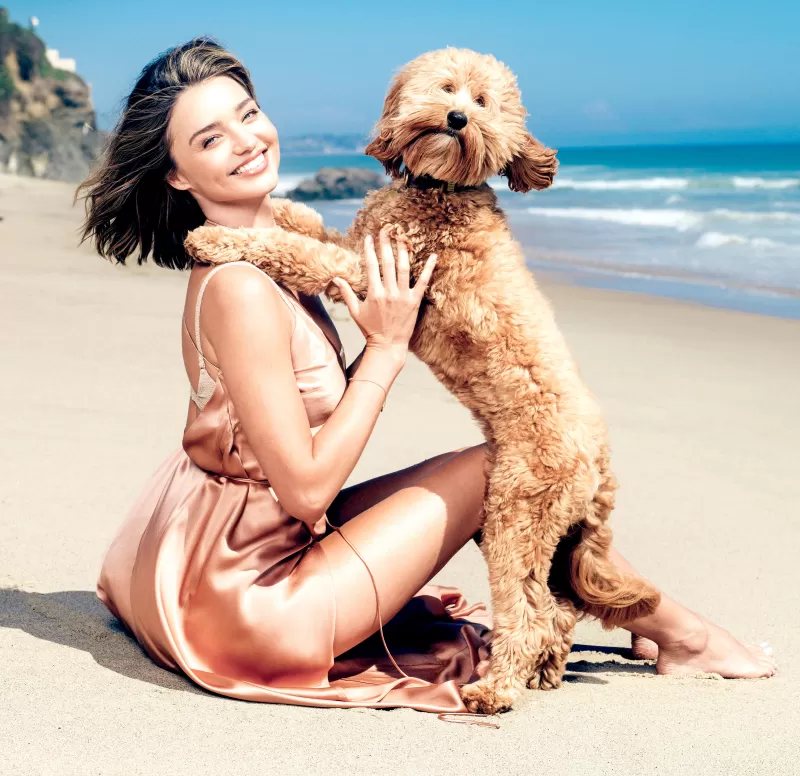 Miranda Kerr, Pet dog, Beach, Photoshoot