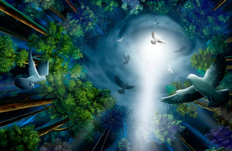 Doves in enchanted forest, Light beam, Digital painting, 4K wallpaper