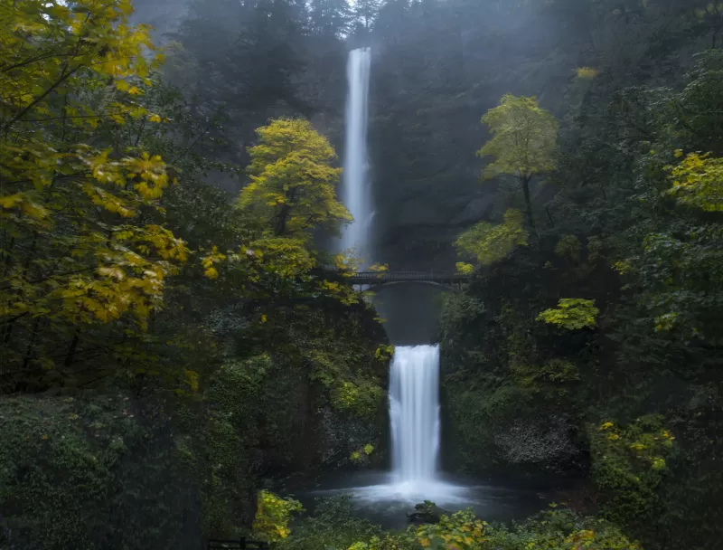 Multnomah Falls, Oregon, Forest, Waterfalls, Green Moss, Rocks, Cliff, Greenery, Bridge, Landscape, Scenery