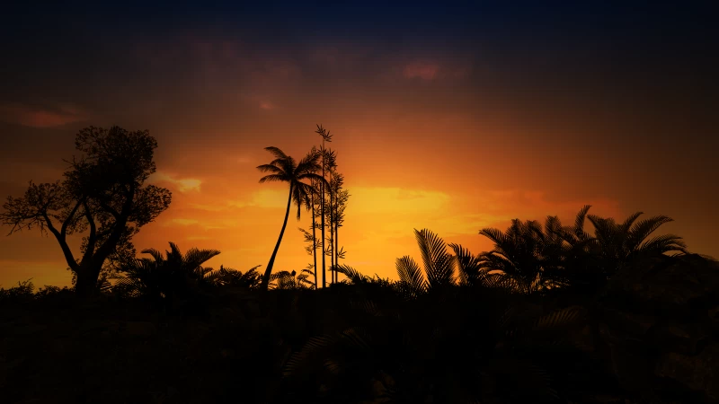 Palm tree silhouettes, Orange sunset, Tropical night, 4K wallpaper